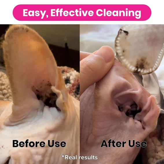 Pet Care Ear Finger Wipes